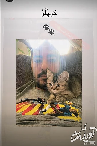 نوید محمدزاده